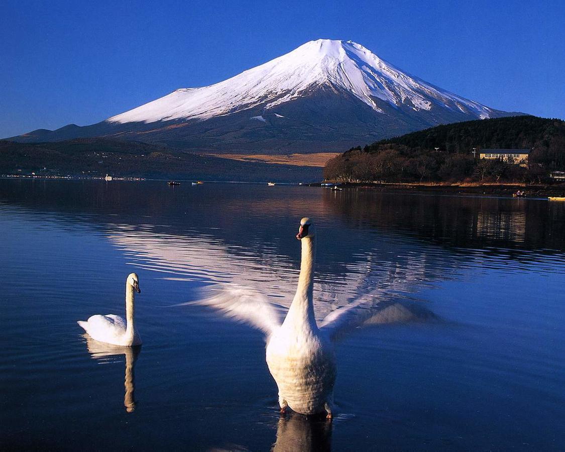 Resort Inn Golf Gotemba (Adults Only) Екстериор снимка